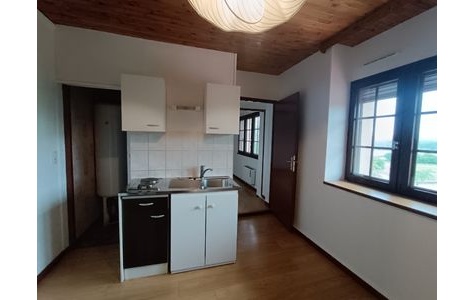 Appartement F1 bis - SAONE HORS AGGLOMERATION
